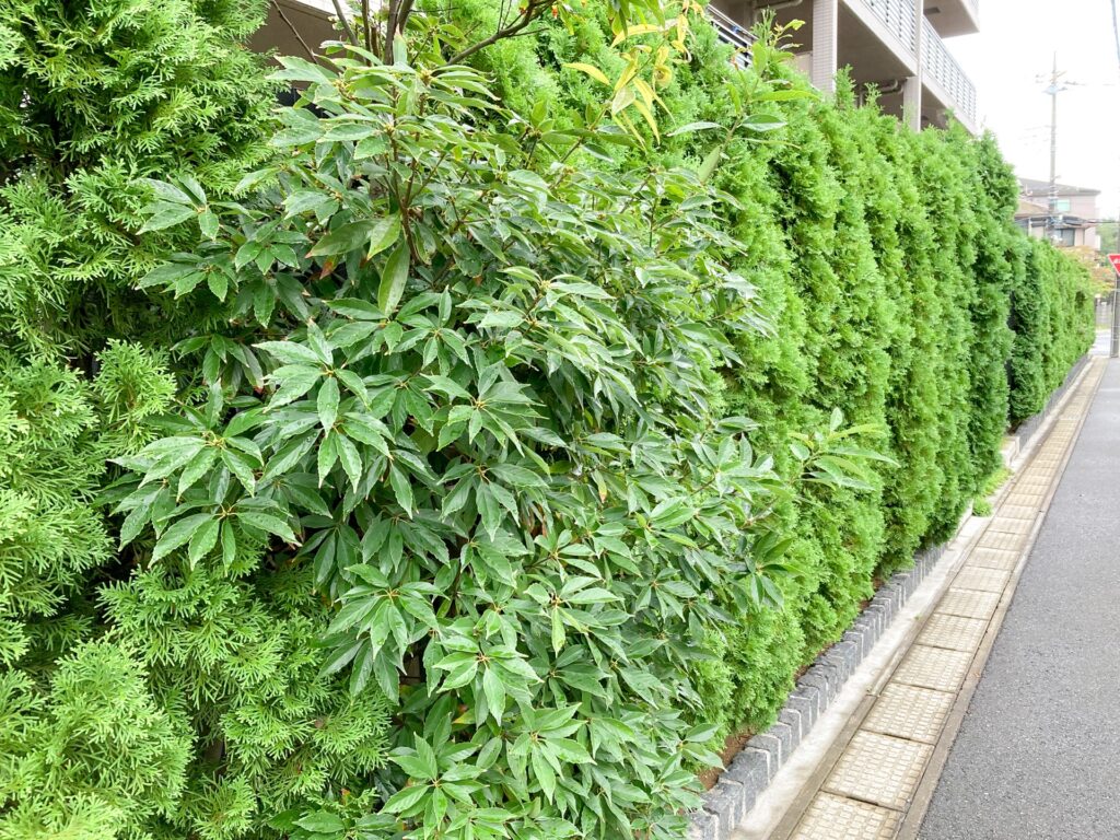 植栽による自然な目隠し効果